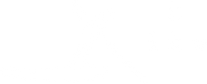 kiku